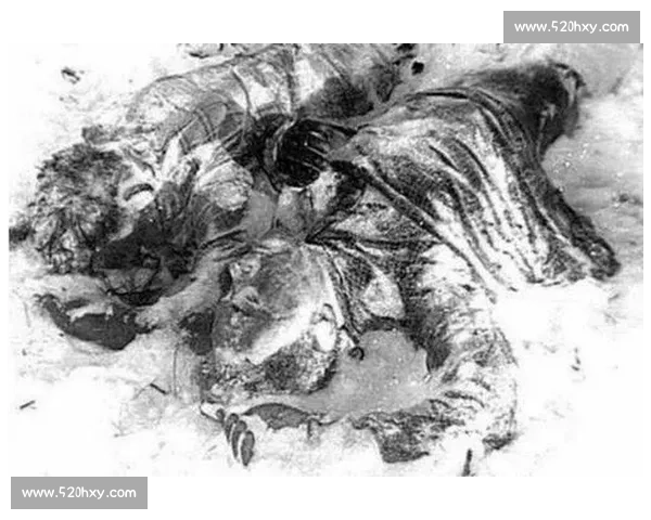 去向成谜的背后揭示了哪些不可告人的秘密与未解之谜