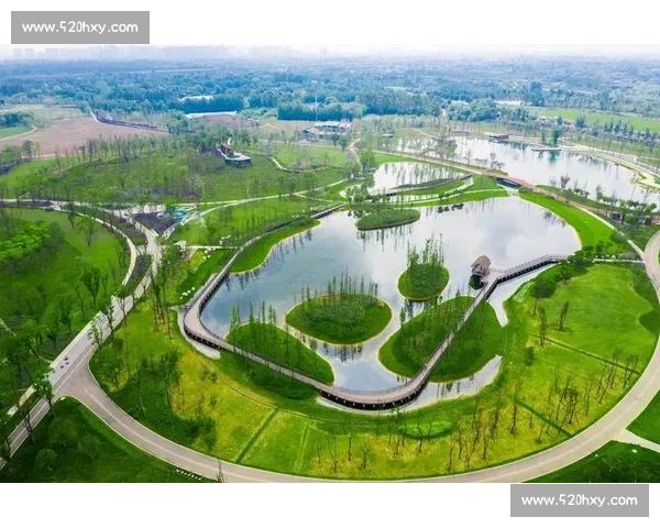 水上场地设计与利用创新探讨：提升功能性与环境可持续性的多维路径